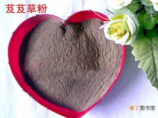 【芨芨草】芨芨草的功效与作用