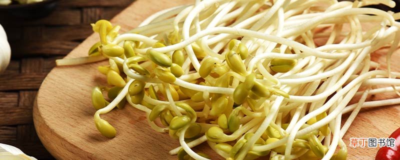 豆芽是蔬菜类吗