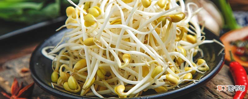 豆芽是蔬菜类吗