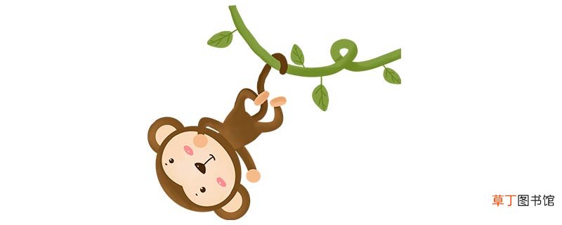 红窠水千树为家是什么动物
