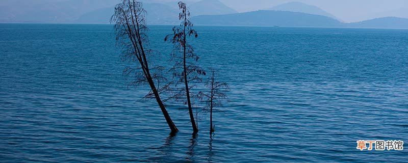 云南第二大淡水湖是什么湖