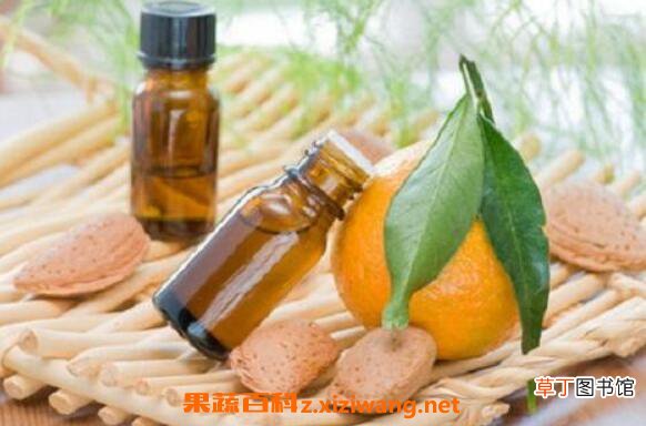 香橙精油的功效与作用 香橙精油的用途