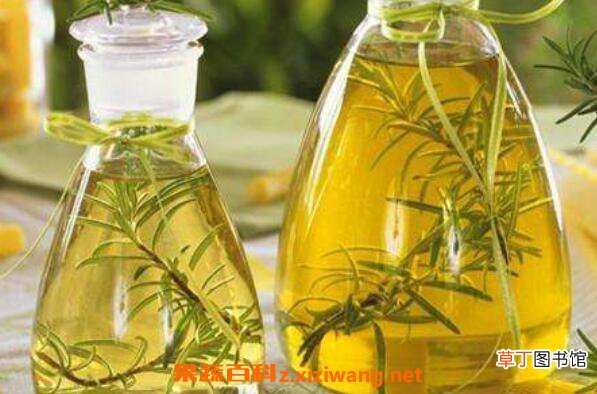 香橙精油的功效与作用 香橙精油的用途