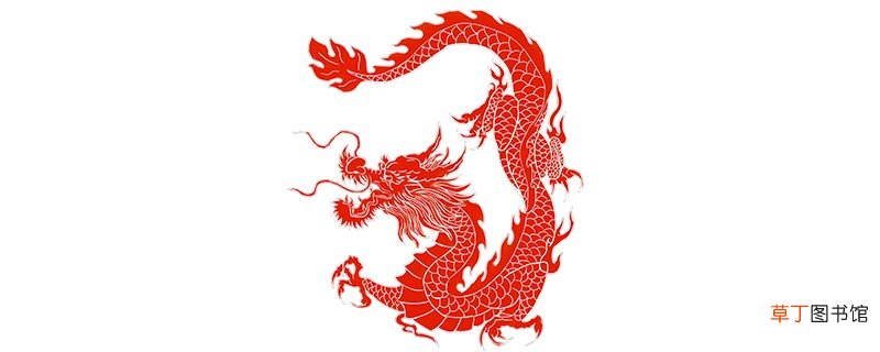 狂风暴雨指什么动物