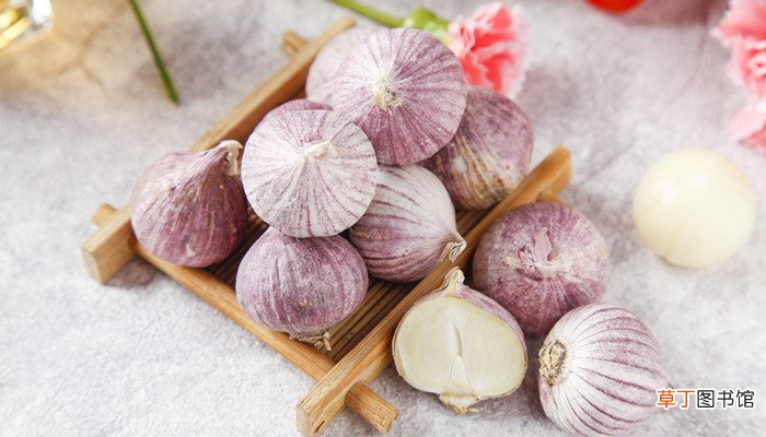 大蒜是根还是茎