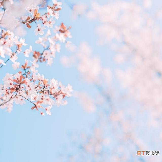 电脑键盘返回键是哪一个 键盘删除键是哪个