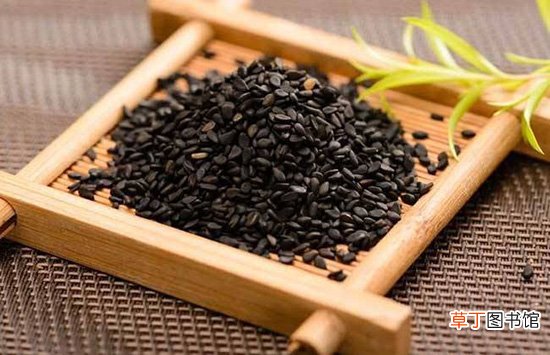 五种补肾食物帮你补虚除燥