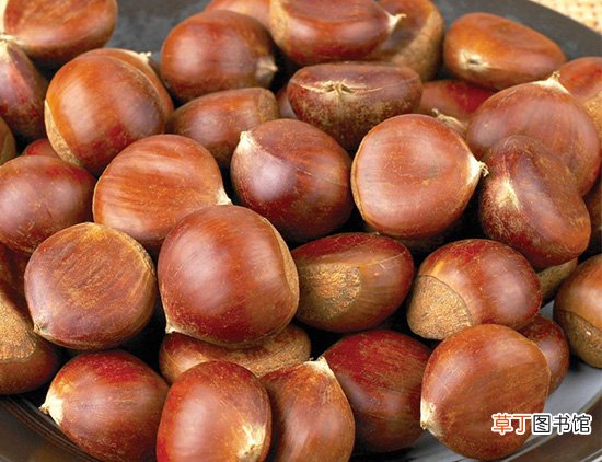 五种补肾食物帮你补虚除燥