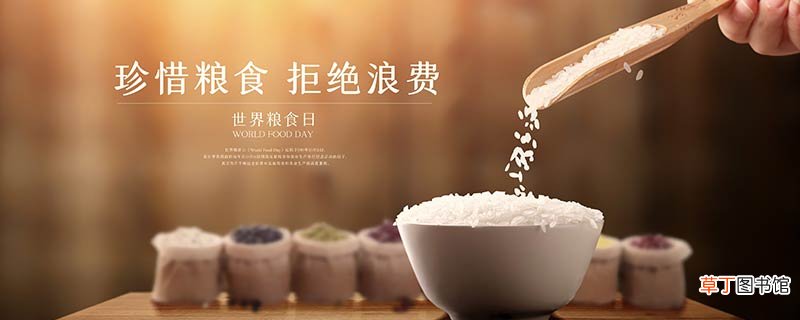 第一次世界粮食调查是在哪一年
