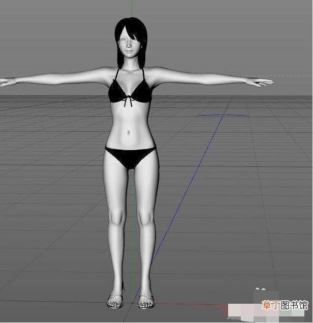 C4D中怎么绑定骨骼
