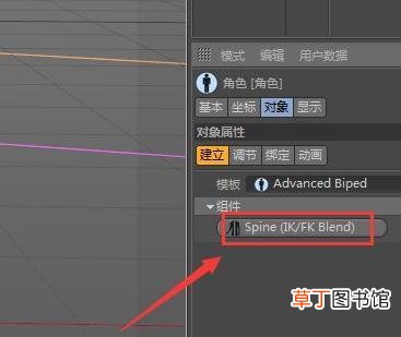 C4D中怎么绑定骨骼