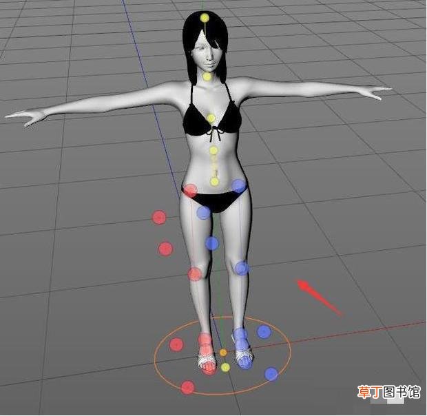 C4D中怎么绑定骨骼