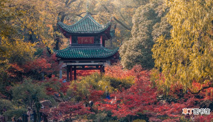 衡阳为什么叫雁城