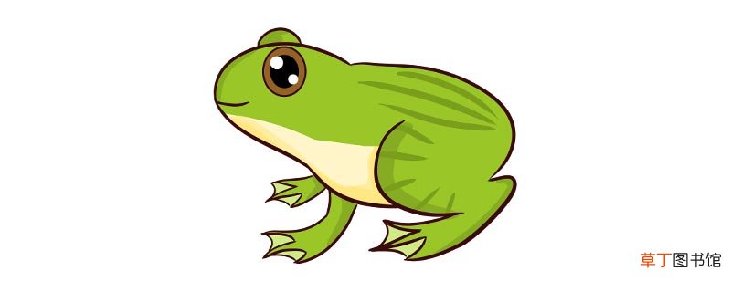 青蛙是冷血动物吗?