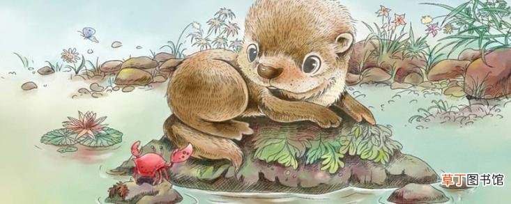 水獭是保护动物吗