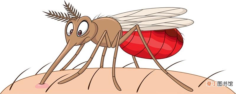 疟原虫是什么生物
