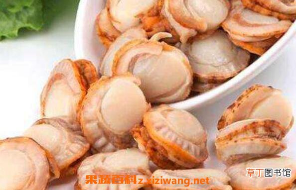 全贝怎么吃 全贝的家常做法
