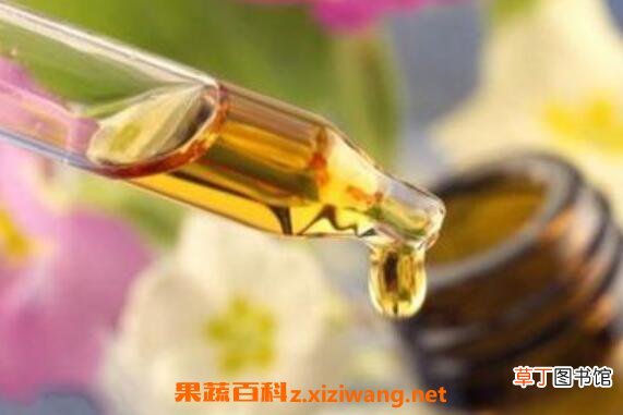 佛手柑精油的功效与作用 佛手柑精油使用禁忌