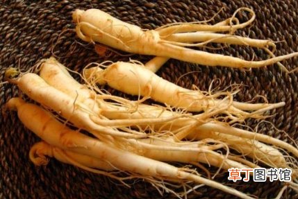 哪六类人与人参无缘 服用人参的禁忌有哪些