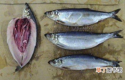冬季不宜食用的5种食物冬季饮食原则