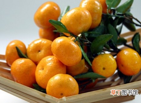 冬季不宜食用的5种食物冬季饮食原则