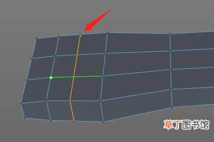 c4d制作毛刷模型的教程 C4D怎么快速建模鞋刷?