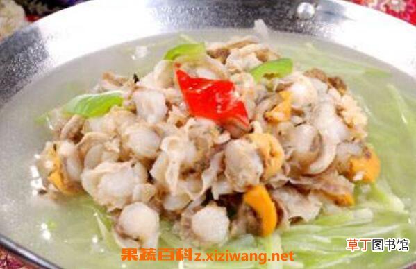 全贝的功效与作用 全贝的营养价值