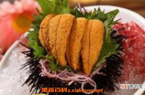 海胆黄酱的食用方法 海胆黄酱的吃法