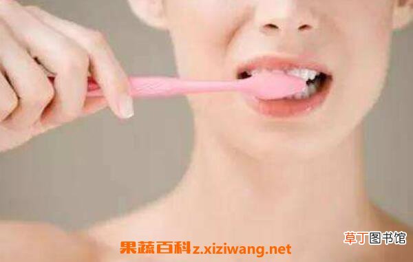刷牙的正确方法 正确的刷牙方法是怎么样的
