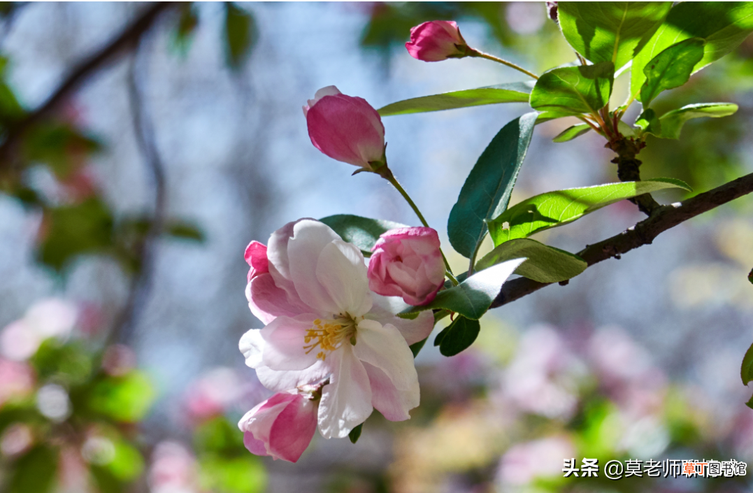 丈夫精神出轨容易挽回吗 丈夫精神出轨的表现