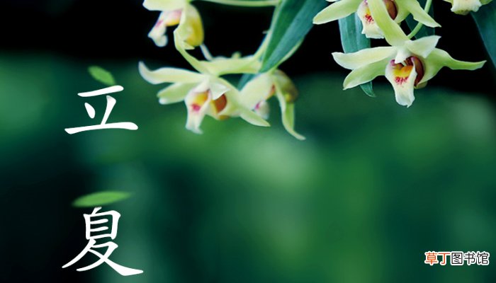 立夏吃糯米饭寓意什么