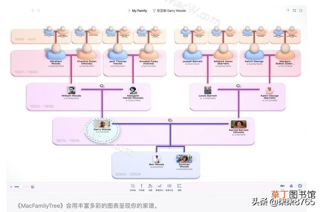 绘制家谱图 制作家谱