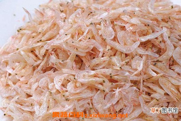 虾皮怎么吃最补钙 虾皮不能和什么一起吃