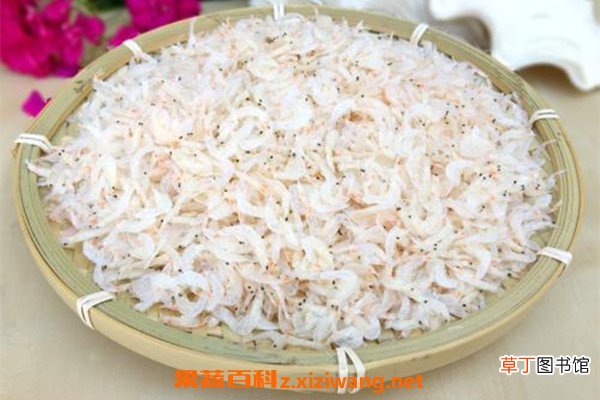 虾皮怎么吃最补钙 虾皮不能和什么一起吃