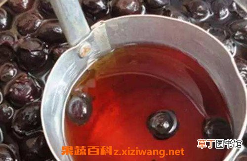 捻子酒的功效与作用 喝捻子酒的好处
