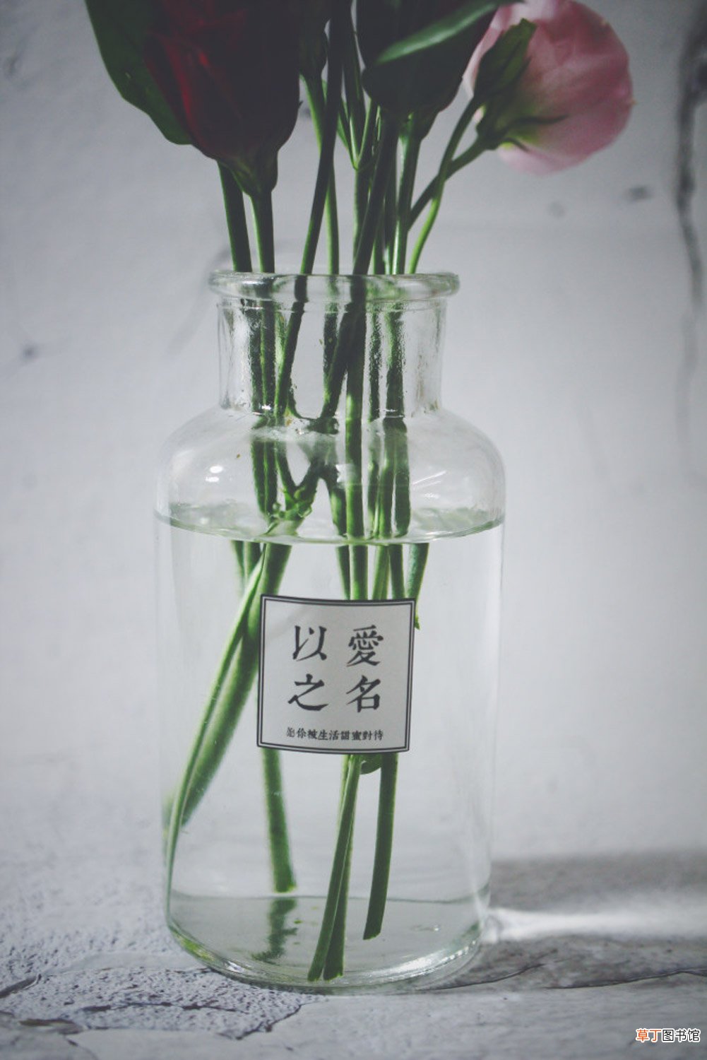 月季花品种大全