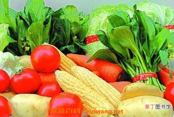 含维生素d的食物 哪些食物含维生素d丰富