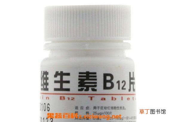 维生素b12的作用及功能