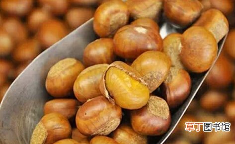 饭后千万别大量食用板栗 当心吃出大肚腩