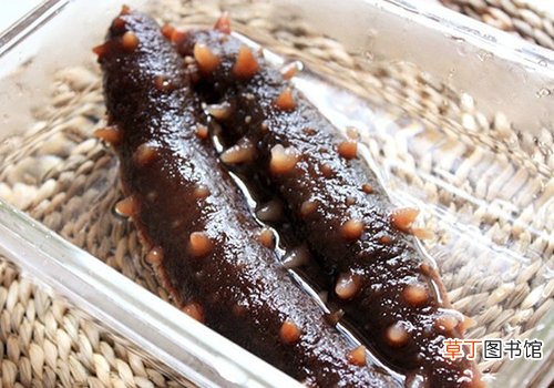 海参营养价值高干海参怎么做最美味？