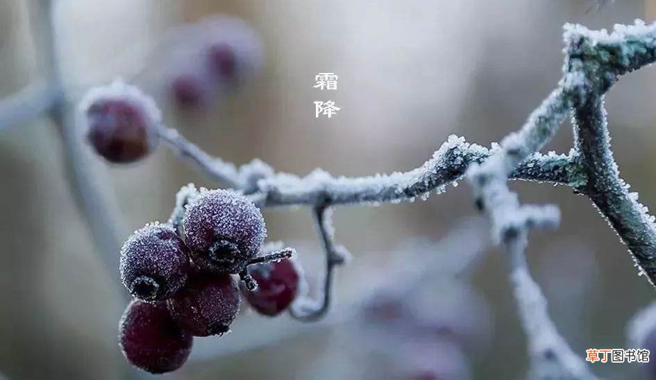 霜降是冬天还是秋天?霜降是什么季节的节气