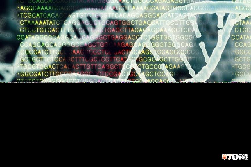 没有成长边界的华熙生物,一家难以限量的生物科技公司