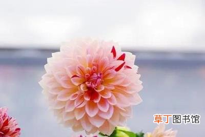 好久不见的唯美句子 适合友情的朋友圈简短