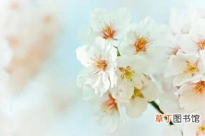好久不见的唯美句子 适合友情的朋友圈简短