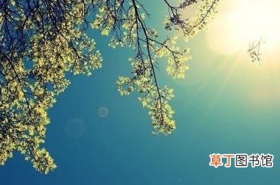 好久不见的唯美句子 适合友情的朋友圈简短