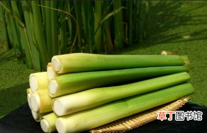 当心！！这7种蔬菜没煮熟似砒霜