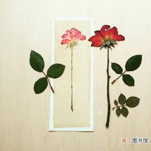 佛的说说人生感悟句子 佛说人生感悟的句子爱情