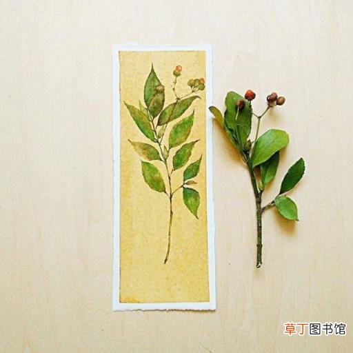 佛的说说人生感悟句子 佛说人生感悟的句子爱情