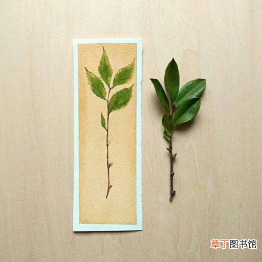 佛的说说人生感悟句子 佛说人生感悟的句子爱情