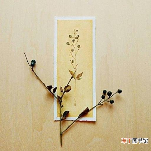 佛的说说人生感悟句子 佛说人生感悟的句子爱情